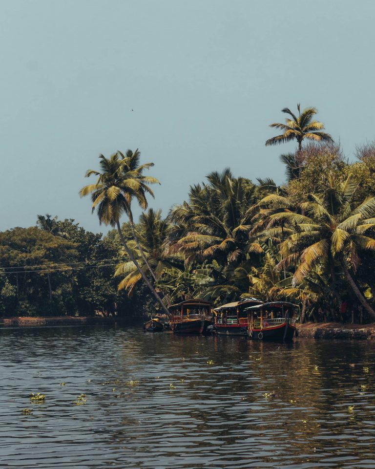 backwaters paisaje